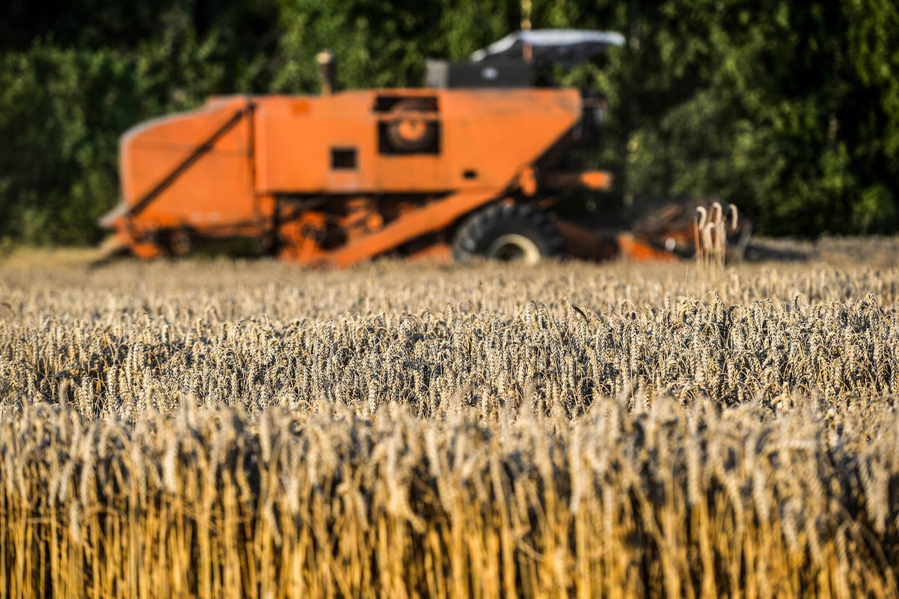 Żywność będzie jeszcze droższa