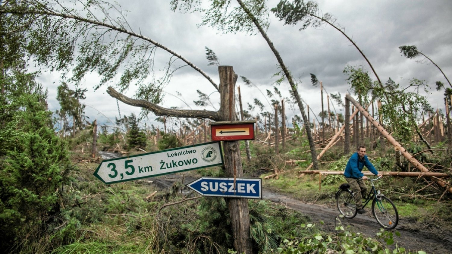 Suszekw  powiecie chojnickim. Tędy przeszła w nocy z piątku na sobotę mordercza nawałnica.
