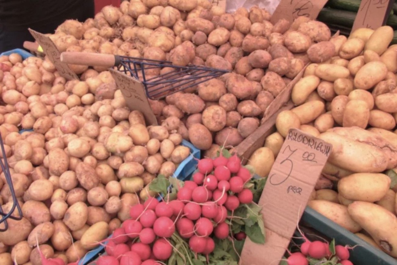 Cena za kilogram ziemniaków spada. Jest zaskakująco niska w porównaniu z kwietniem i lipcem 2024 roku