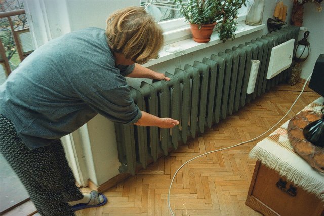 W warszawskich lokalach komunalnych żyje 8 gatunków groźnych dla ludzi grzybów