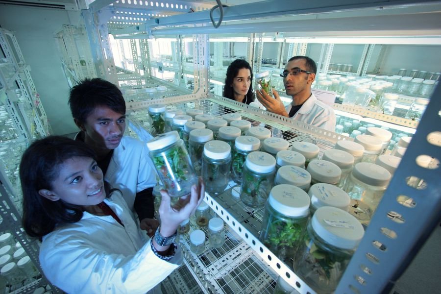 Nad Wisłą co druga osoba robiąca doktorat to kobieta. Ale wśród starających się o profesurę kobiet jest już tylko... 20 proc.