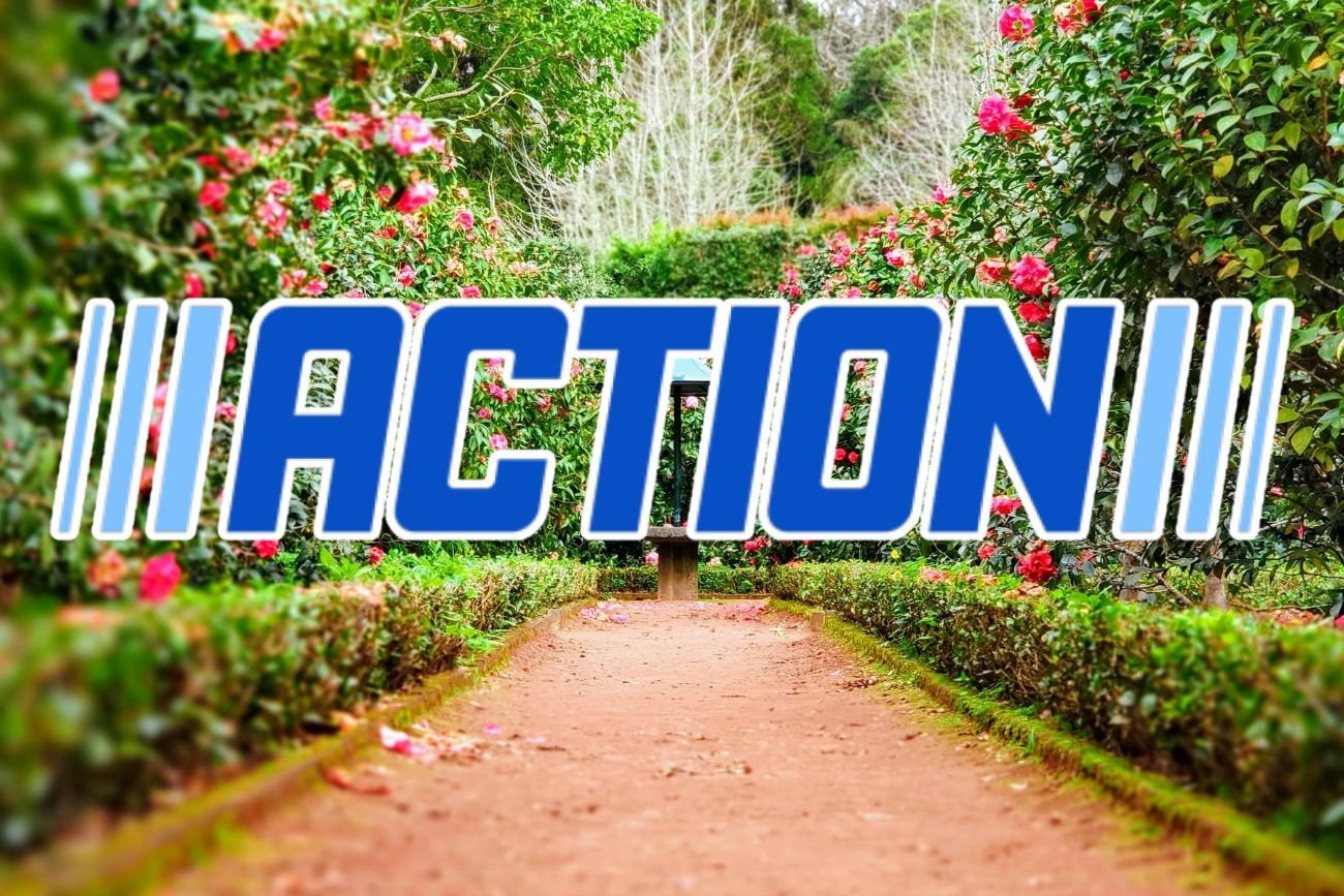 Dobrze dobrane lampki solarne to nie tylko estetyczny dodatek, ale także sposób na stworzenie przytulnej atmosfery w ogrodzie.