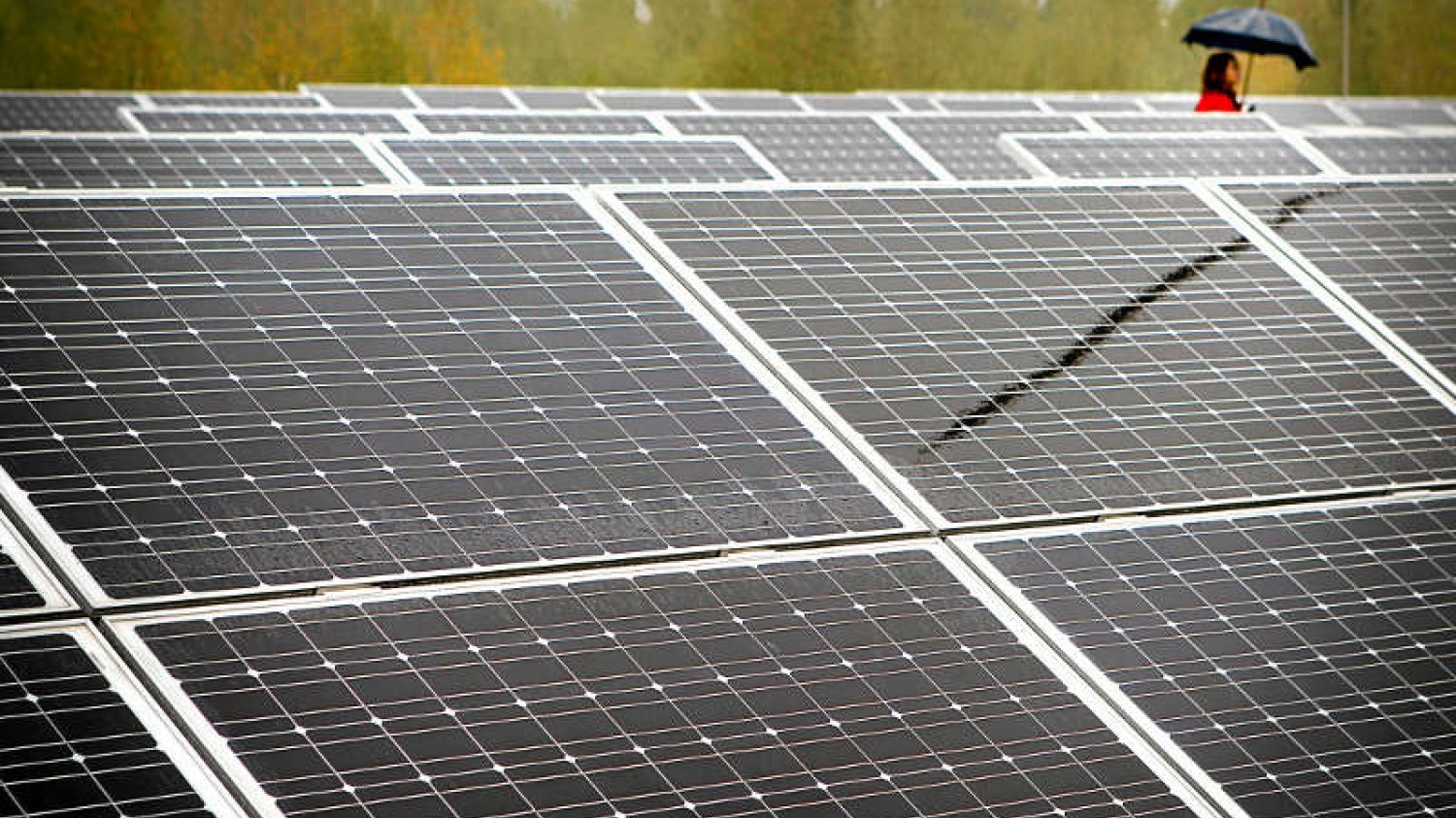 Na Podlasiu powstała największa w kraju elektrownia słoneczna