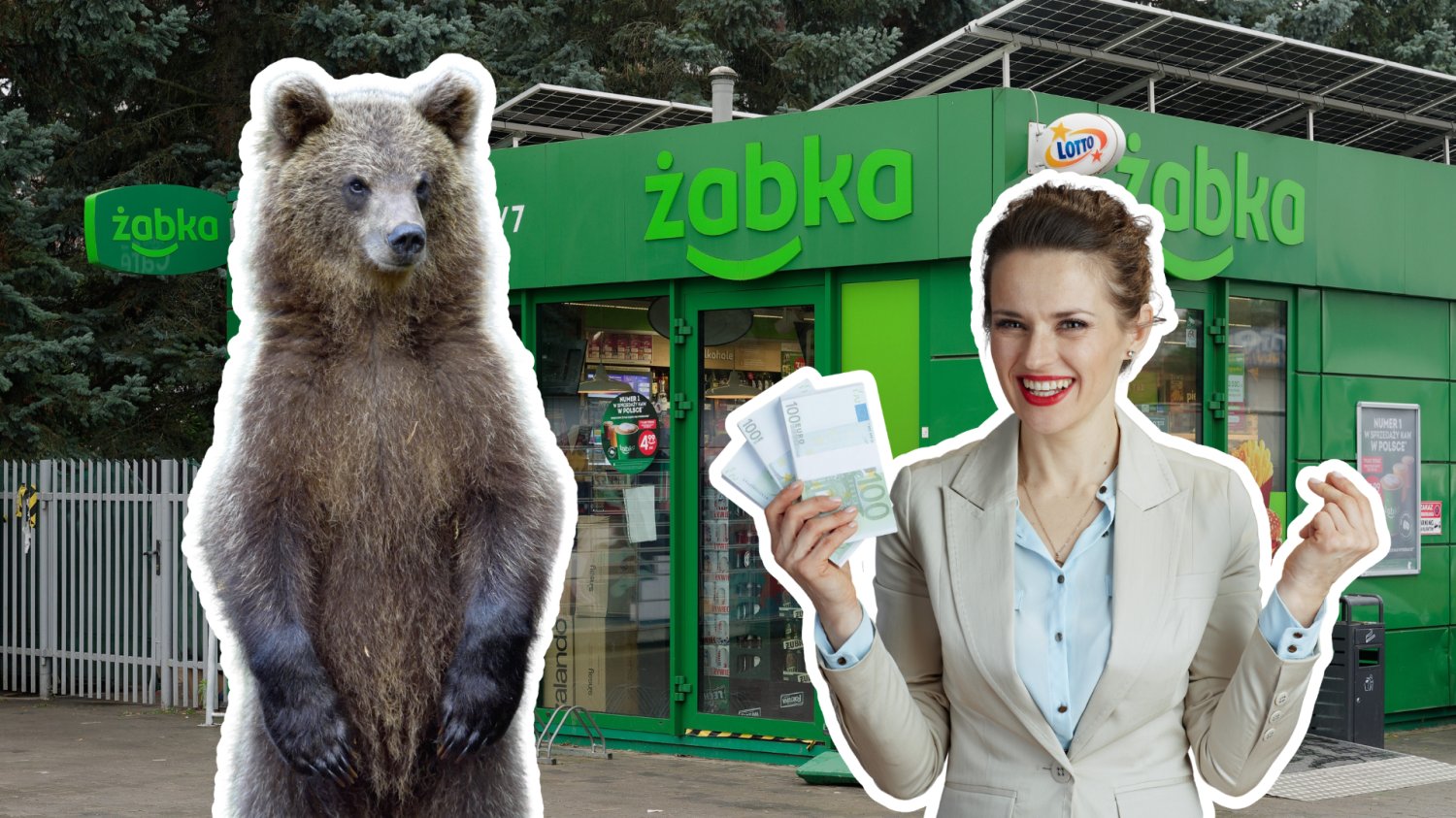 Żabka, niedźwiedź i inwestorka.