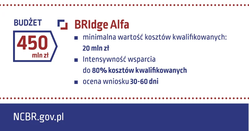 Charakterystyka programu BRIdge Alfa.