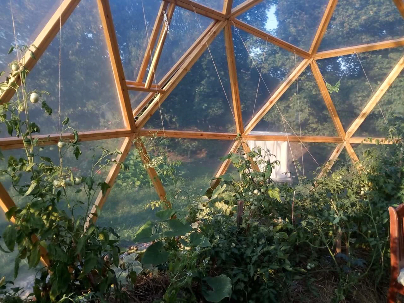 Własna cieplarnia z organicznymi warzywami? Proszę bardzo!