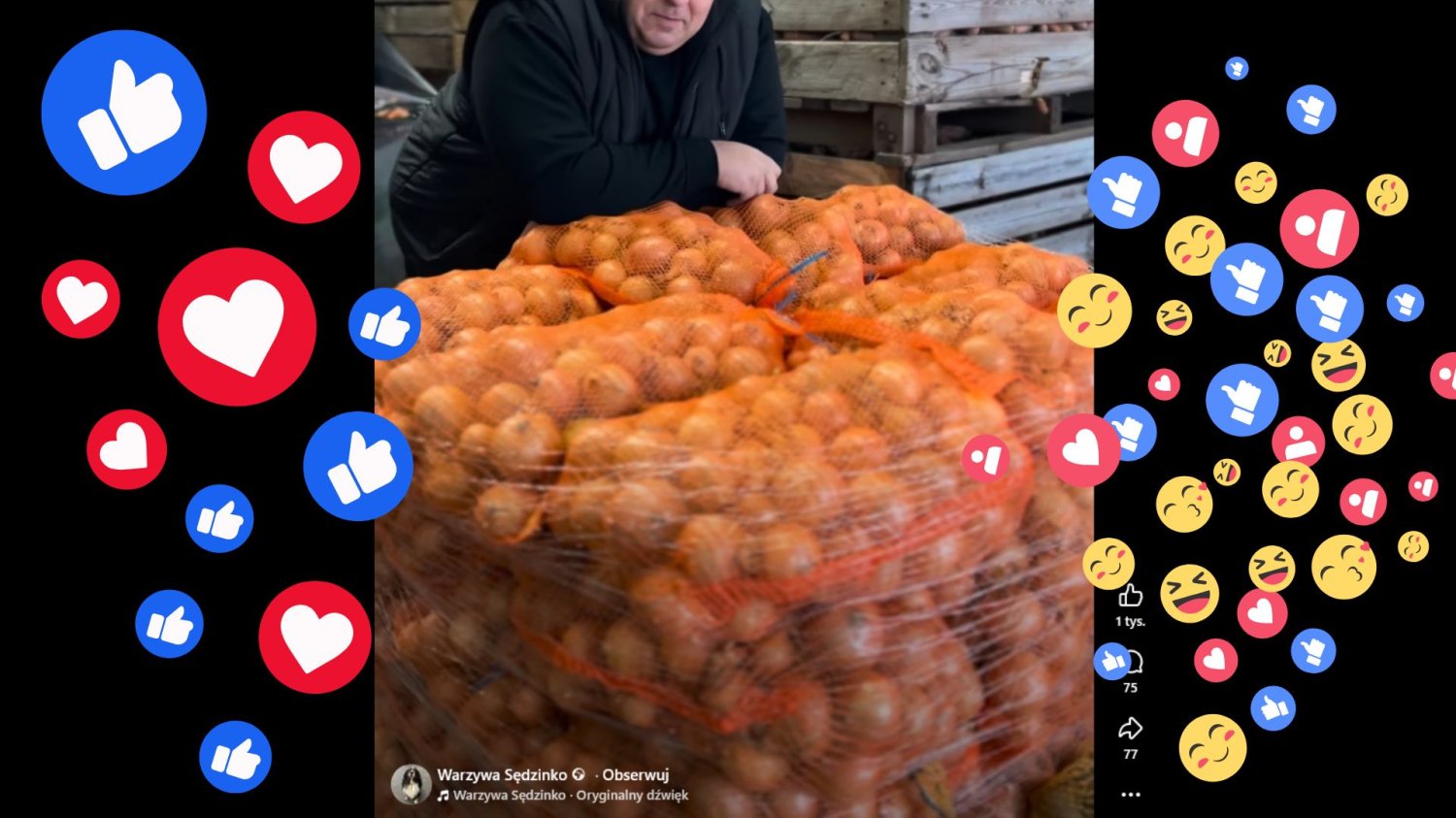 Warzywa z rolek hitem internetu. Polak potrafi, rolnik tym bardziej Fragment rolki z Warzywa Sędzinko. Polski rolnik promuje się i sprzedaje w sieci z sukcesami.