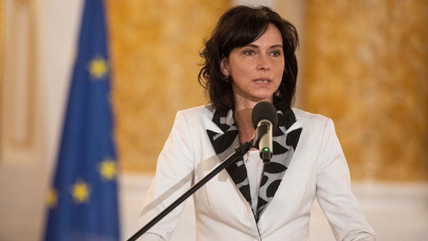 Podsekretarz Stanu w Ministerstwie Sprawiedliwości Anna Dalkowska.