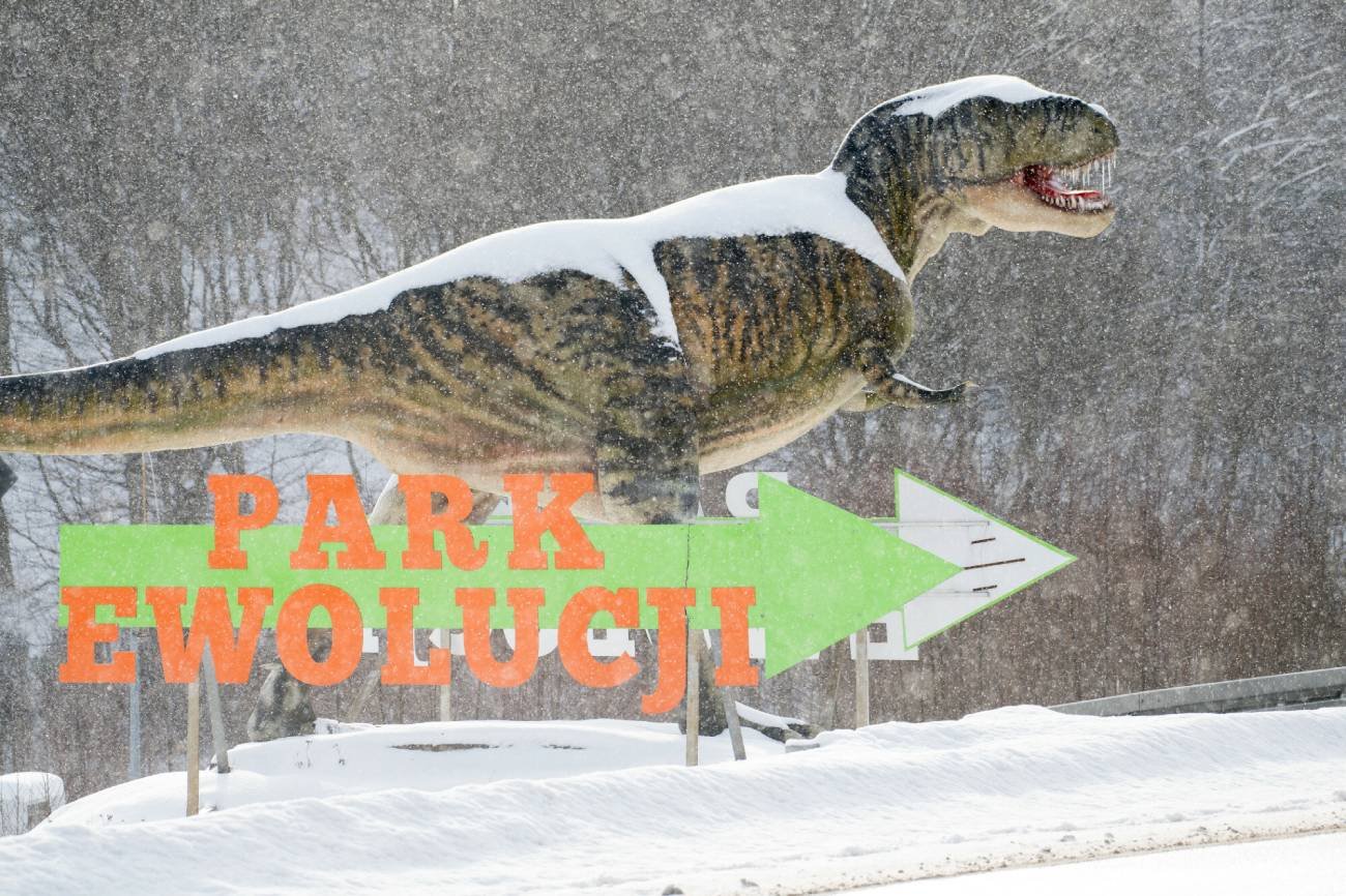 Reklama parku rozrywki.