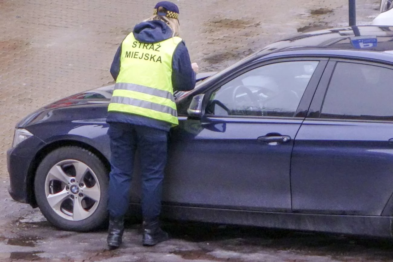 Nowelizacja kodeksu karnego. Jest nowa data. Za "lewe" tablice nawet więzienie.
