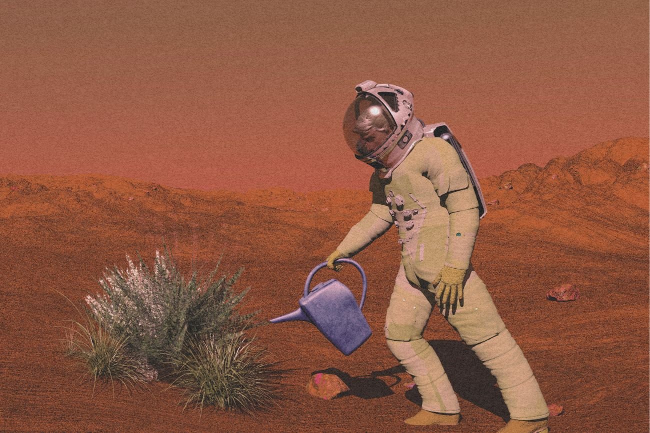 Kolonizacja kosmosu to mrzonki? Są firmy, które już piszą o tym w... warunkach świadczonych usług