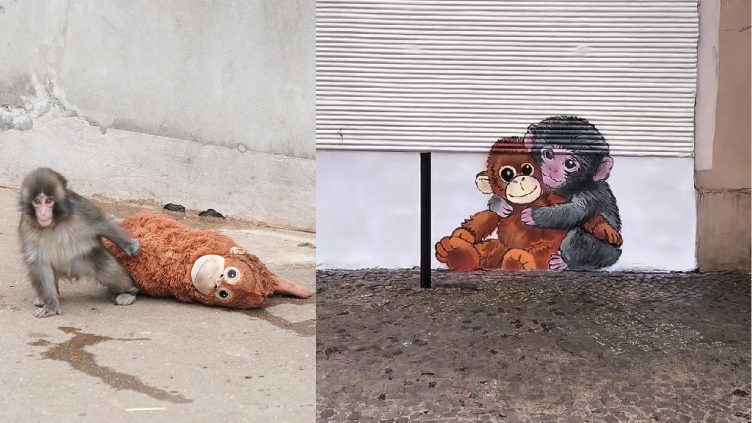 Namalował słynną małpkę i wylądował na komisariacie. Poznański "Banksy" znów ma problemy małpka Puch zainspirowała poznańskiego artystę Kawu do stworzenia niewielkiego muralu