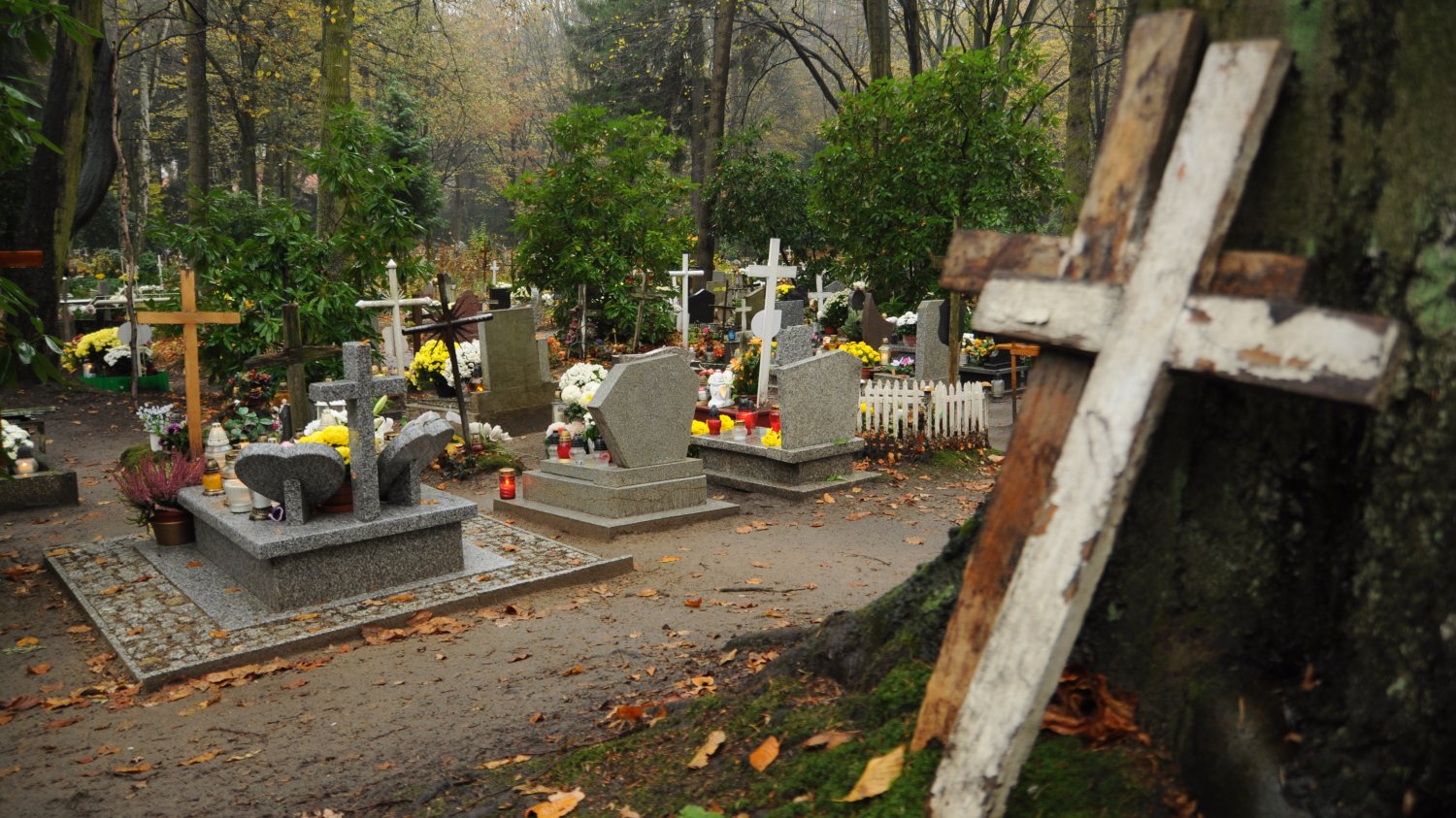 Profesjonaliści oferują swoje usługi opieki nad grobem.
