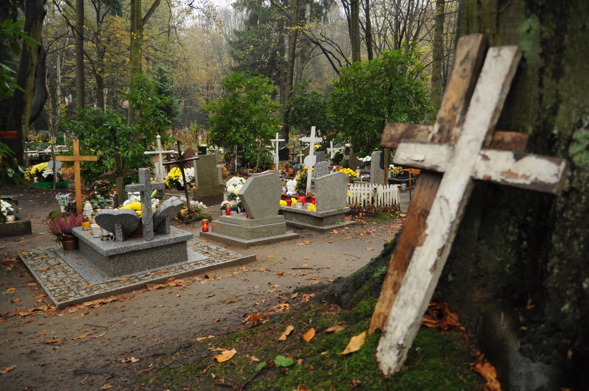 Profesjonaliści oferują swoje usługi opieki nad grobem.