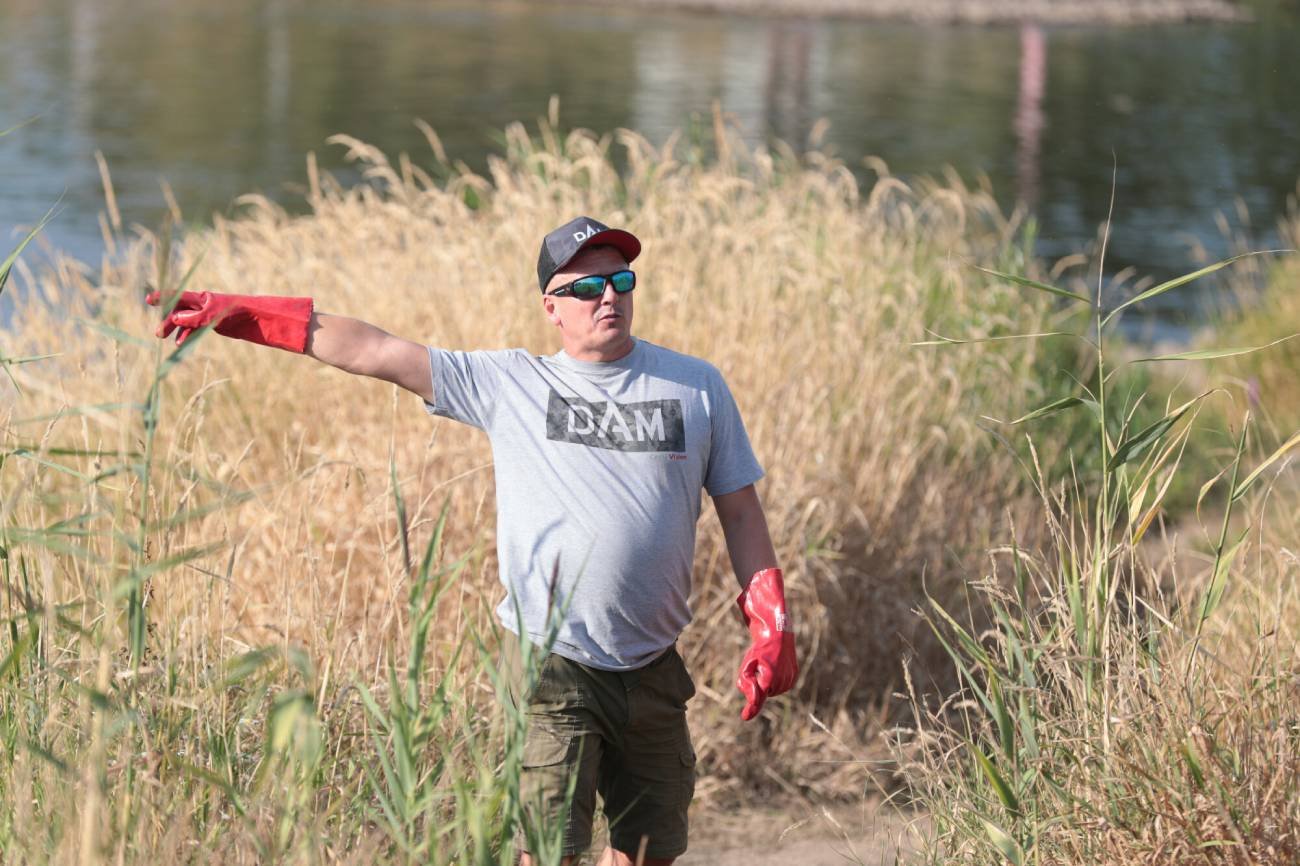 Człowiek pomaga przy oczyszczaniu Odry z martwych ryb