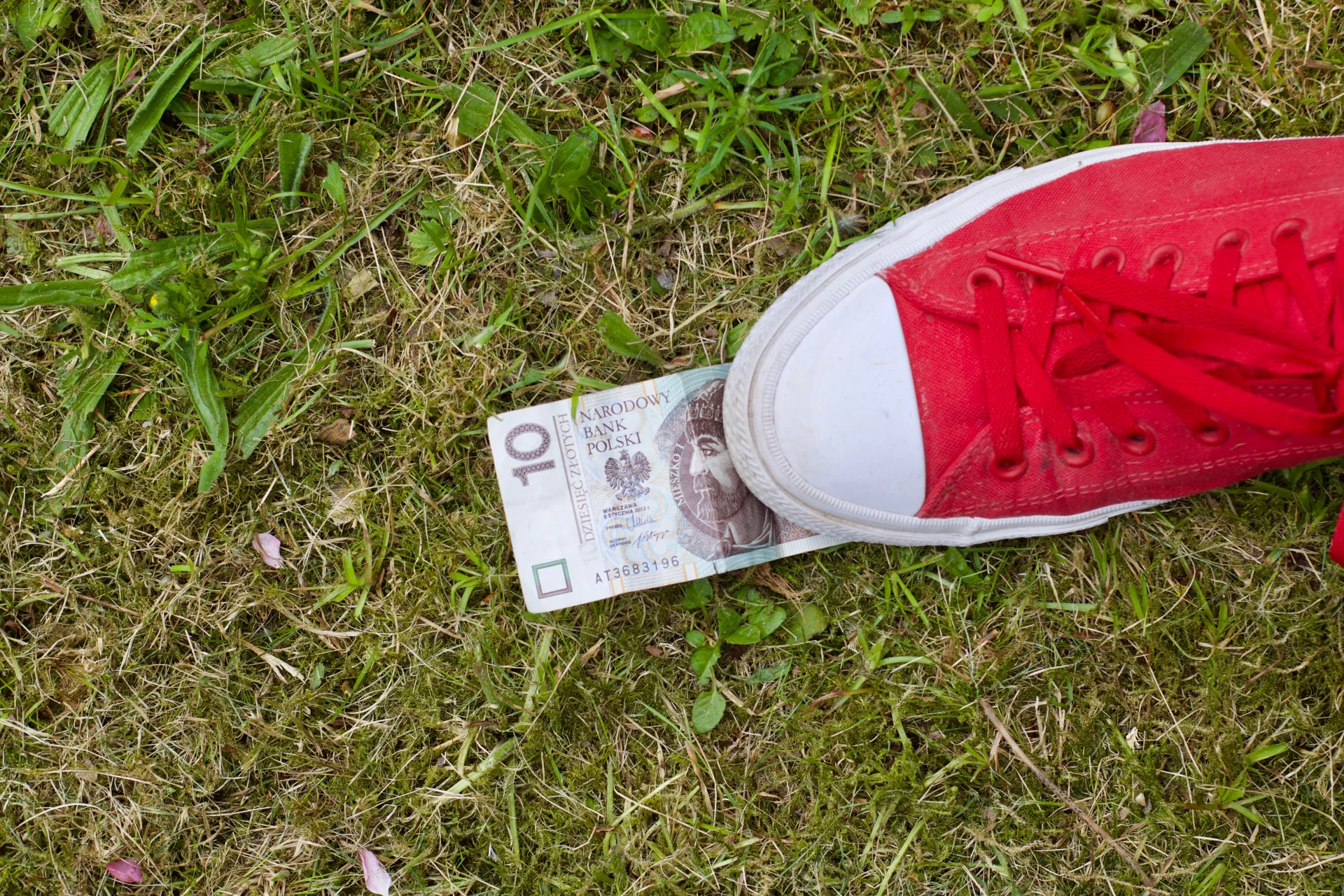 31.08.2020 to ostatni dzień na złożenie wniosku o dodatek solidarnościowy