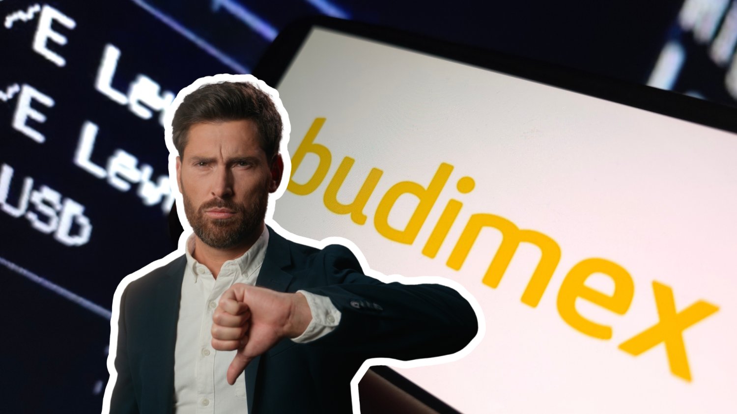 logo Budimex, smutny inwestor