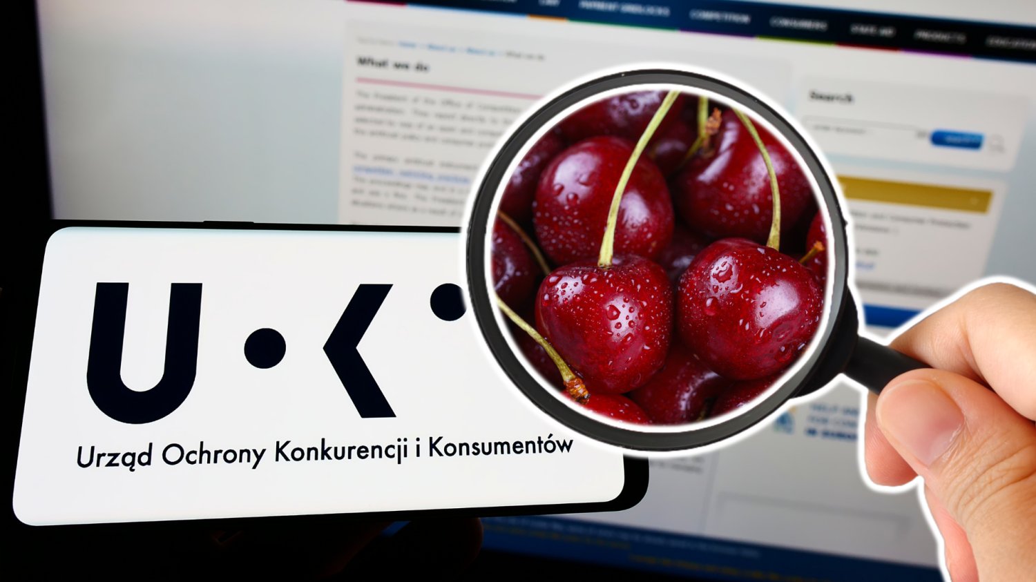 Logo UOKIK i laptop w tle. Lupa przygladająca się wiśniom.