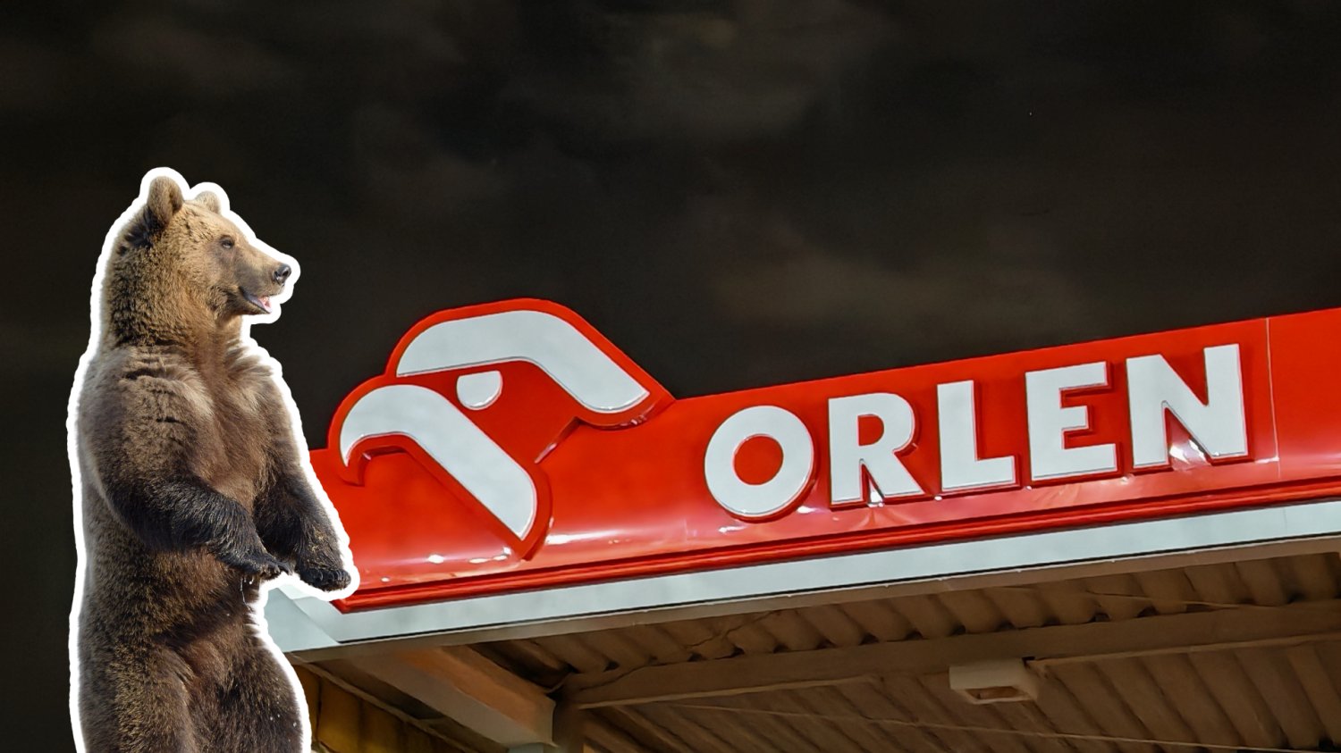 Stacja Orlen i niedźwiedź.