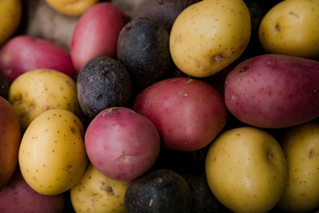 "Superfoods" po polsku. Kolorowe ziemniaki pomogą nie tylko dbać o zdrowie