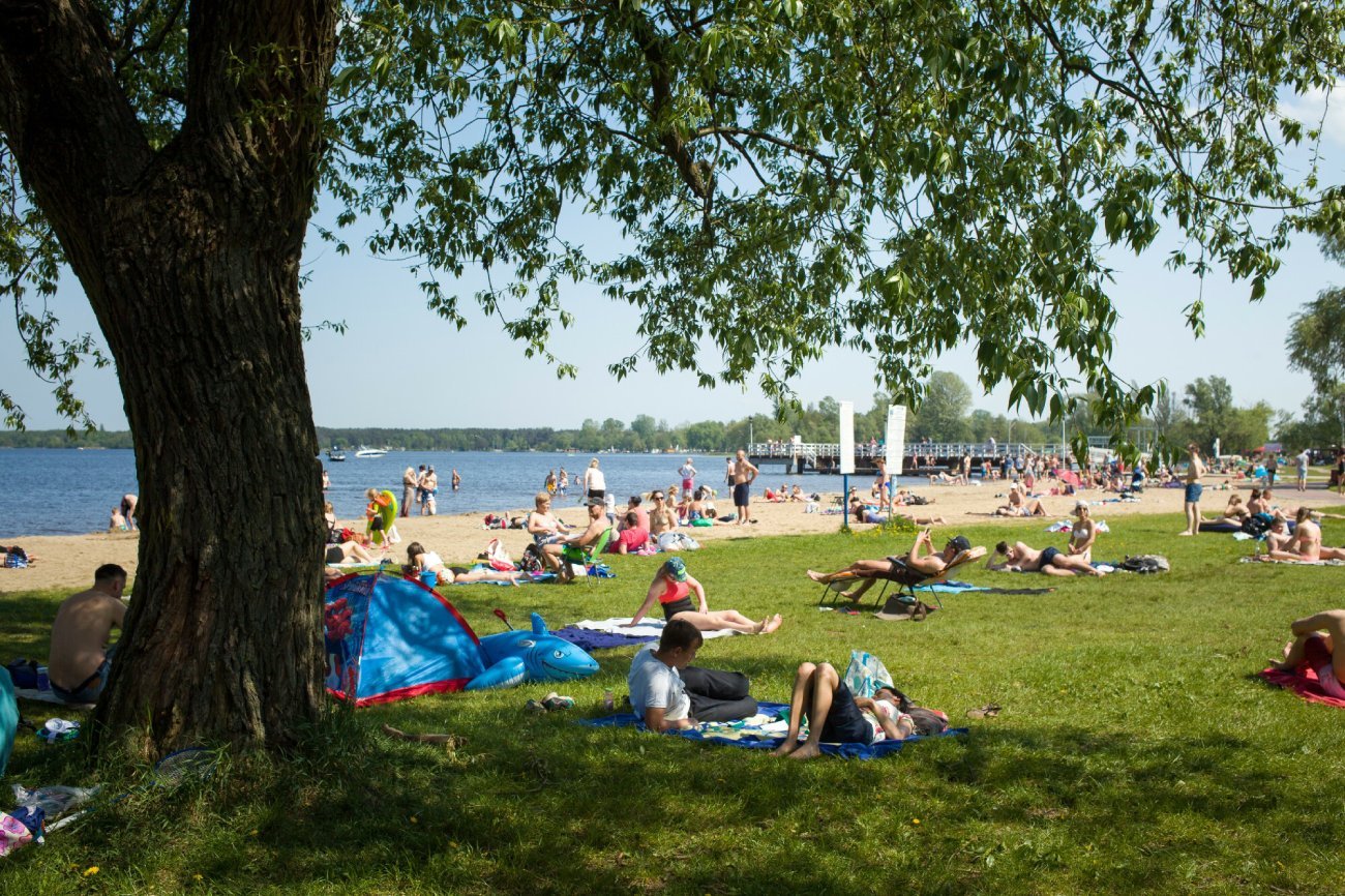 Jak uzyskać dofinansowanie "wakacje pod gruszą"?