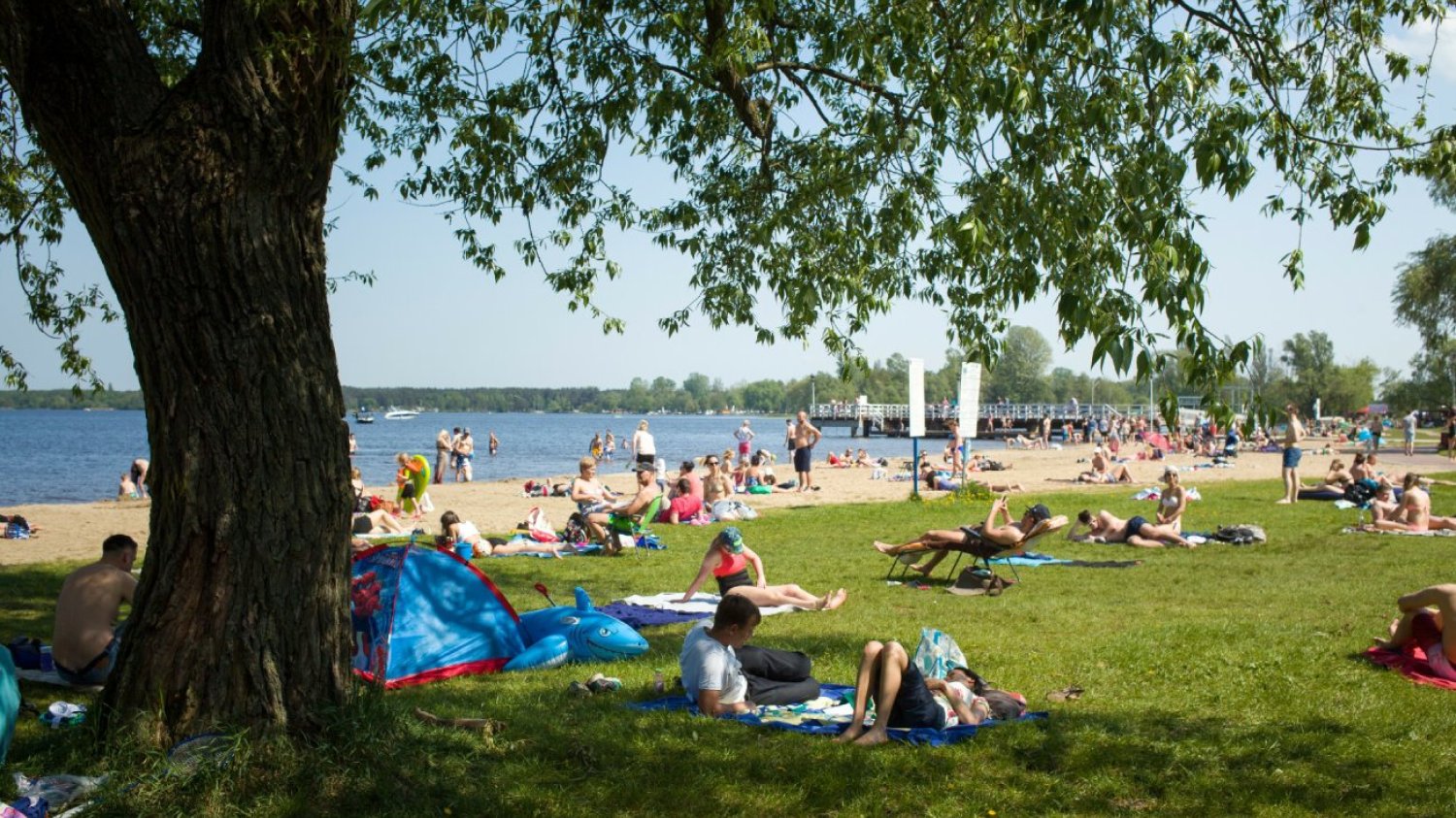 Jak uzyskać dofinansowanie "wakacje pod gruszą"?