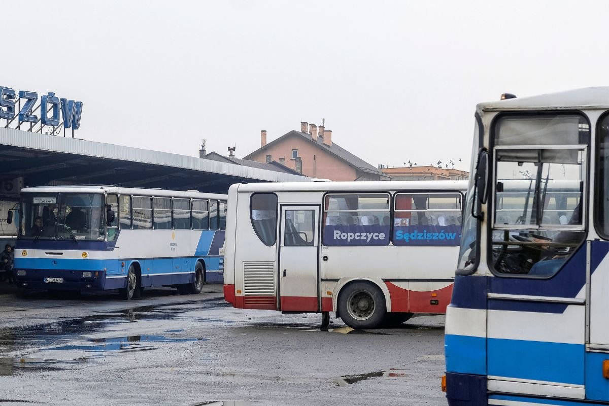 Program PKS plus okazał się niewypałem.