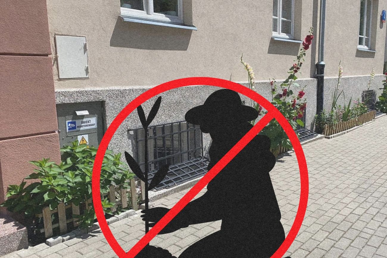 Ogródek na Mokotowie.