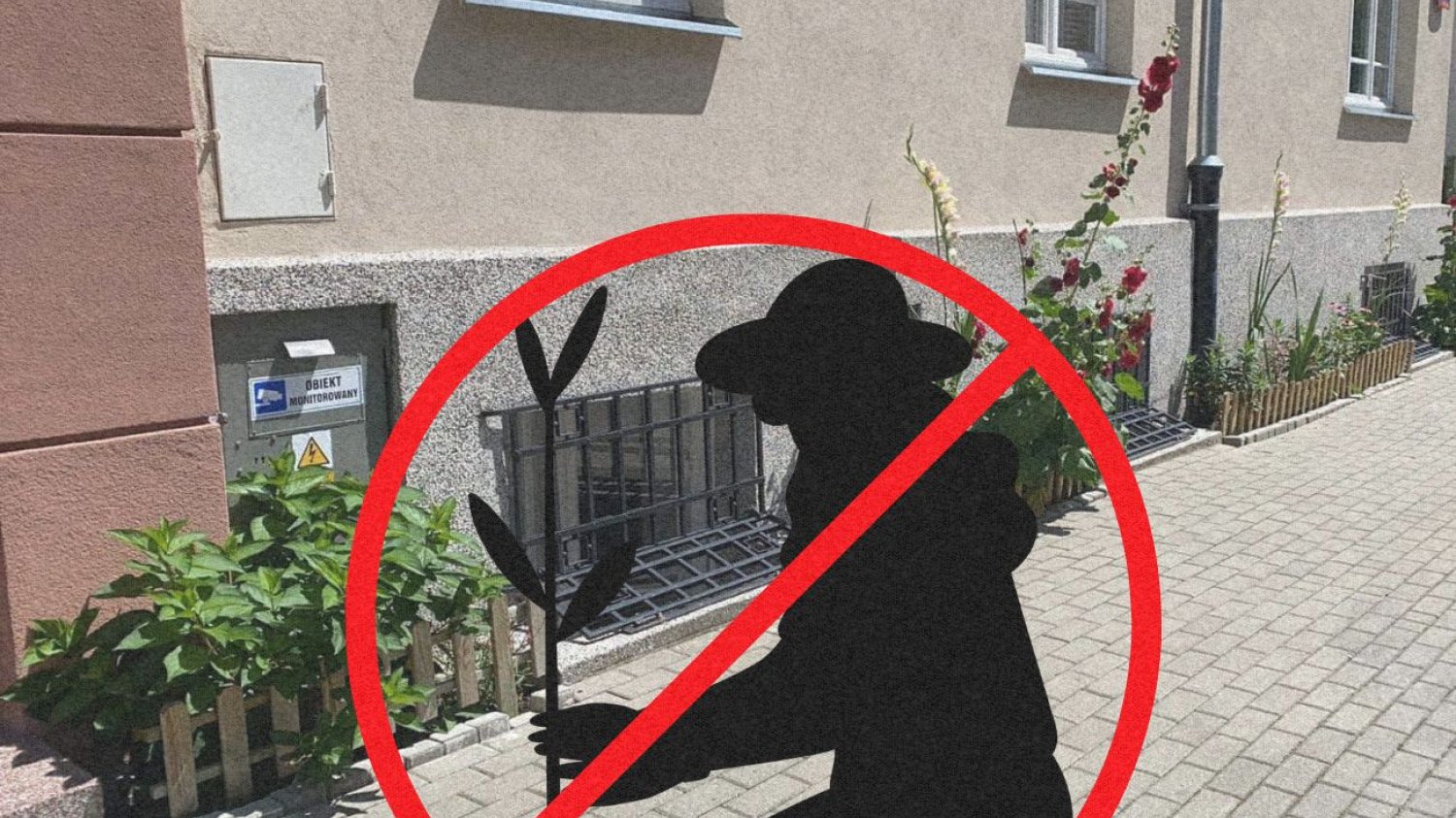 Ogródek na Mokotowie.