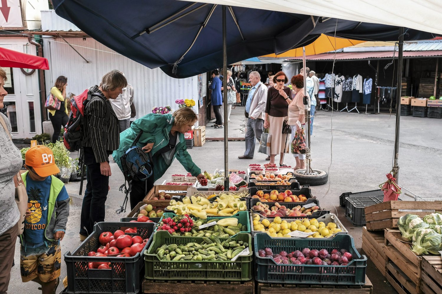 Awokado okazuje się obecnie najdroższym owocem, który jest bardzo chętnie kupowany