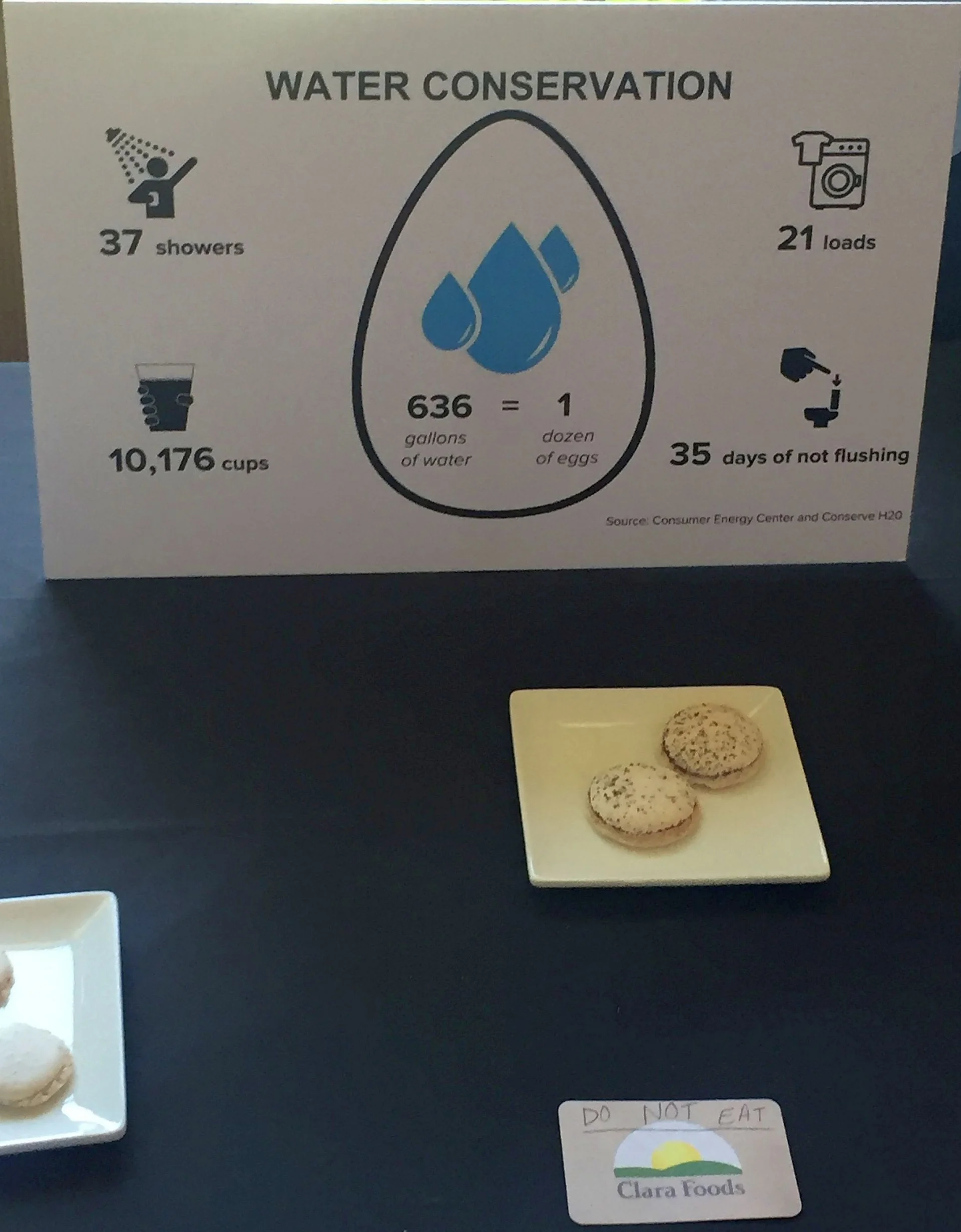 Start-up Clara Foods jako pierwszy opracował technologię produkcji białka jajka bez udziału kury, New Harvest 2016, San Francisco