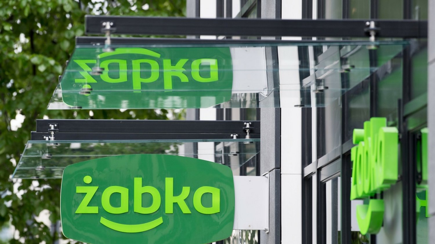 Żabka.