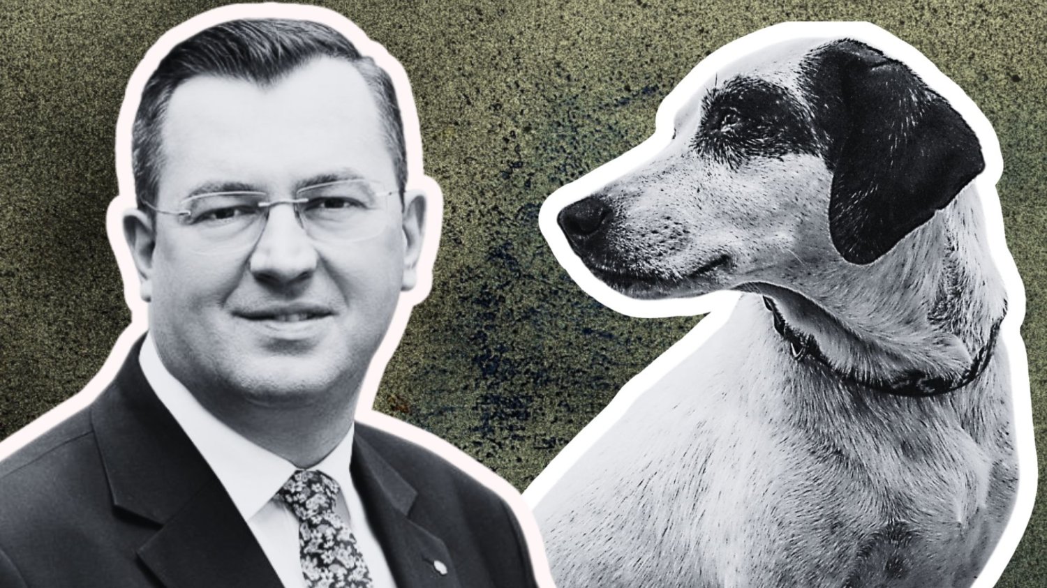 minister rolnictwa Stefan Krajewski oraz patrzący na niego pies