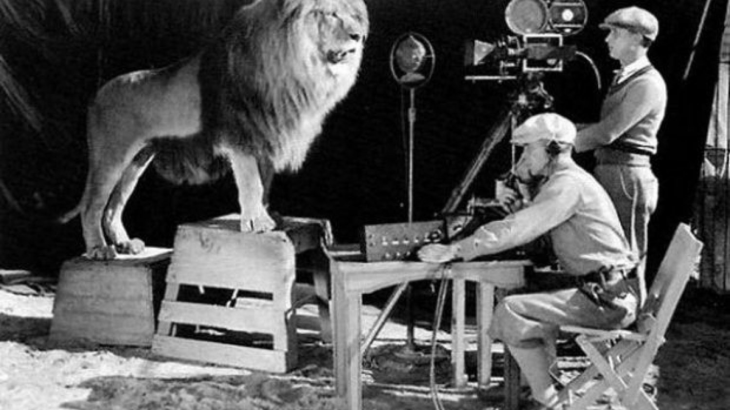 Zdjęcie zostało wykonane w 1928 roku i przedstawia filmowanie lwa, który występuje w czołówce i logo MGM.