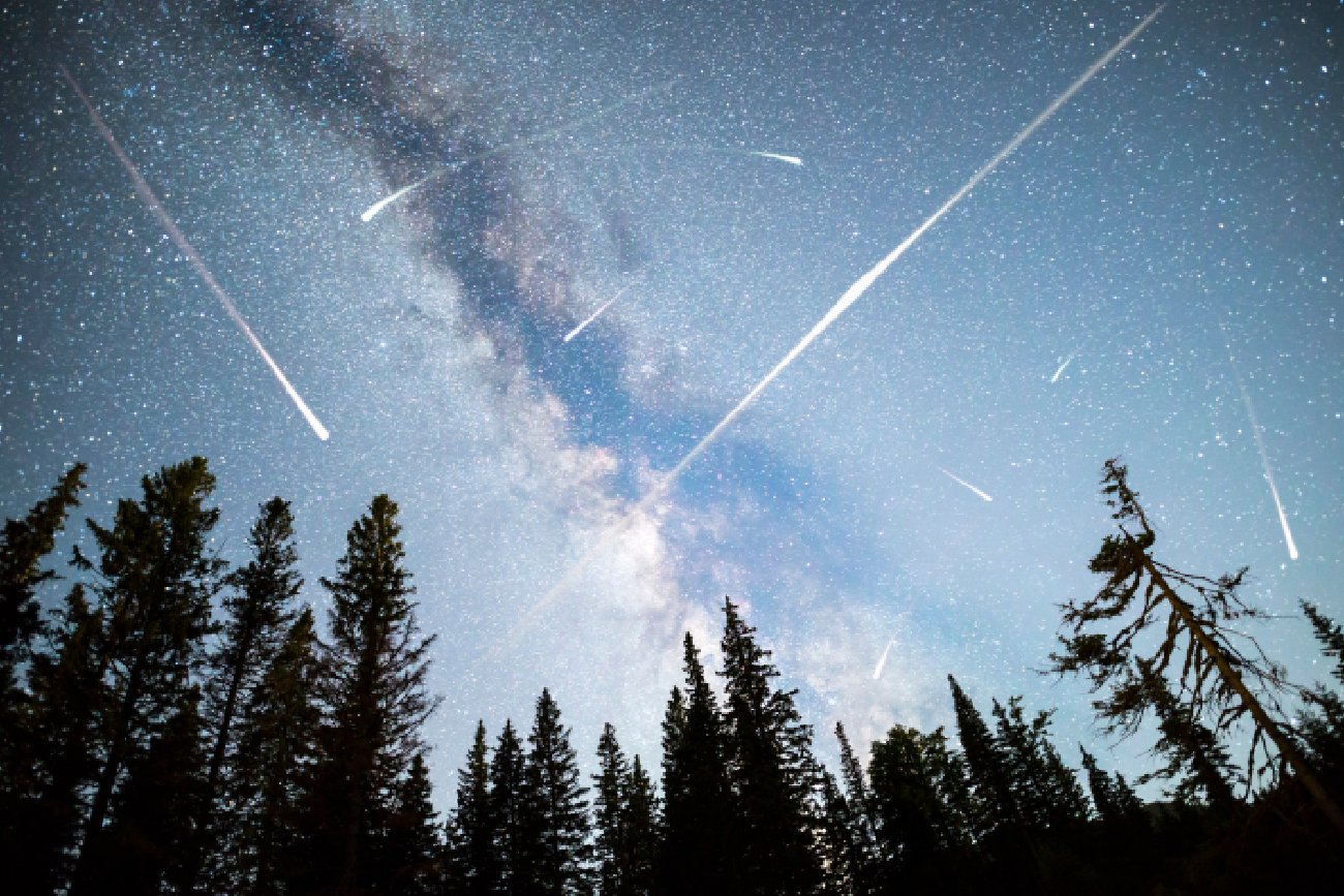 Perseidy, regularny rój meteorów na drodze mlecznej, niebo nad lasem rozświetlone perseidami