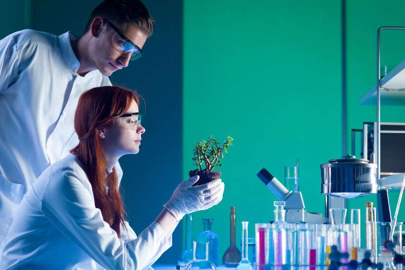 Fundacja na Rzecz Nauki Polskiej daje 80 mln młodym naukowcom. Kto, jak i ile dotacji może dostać?