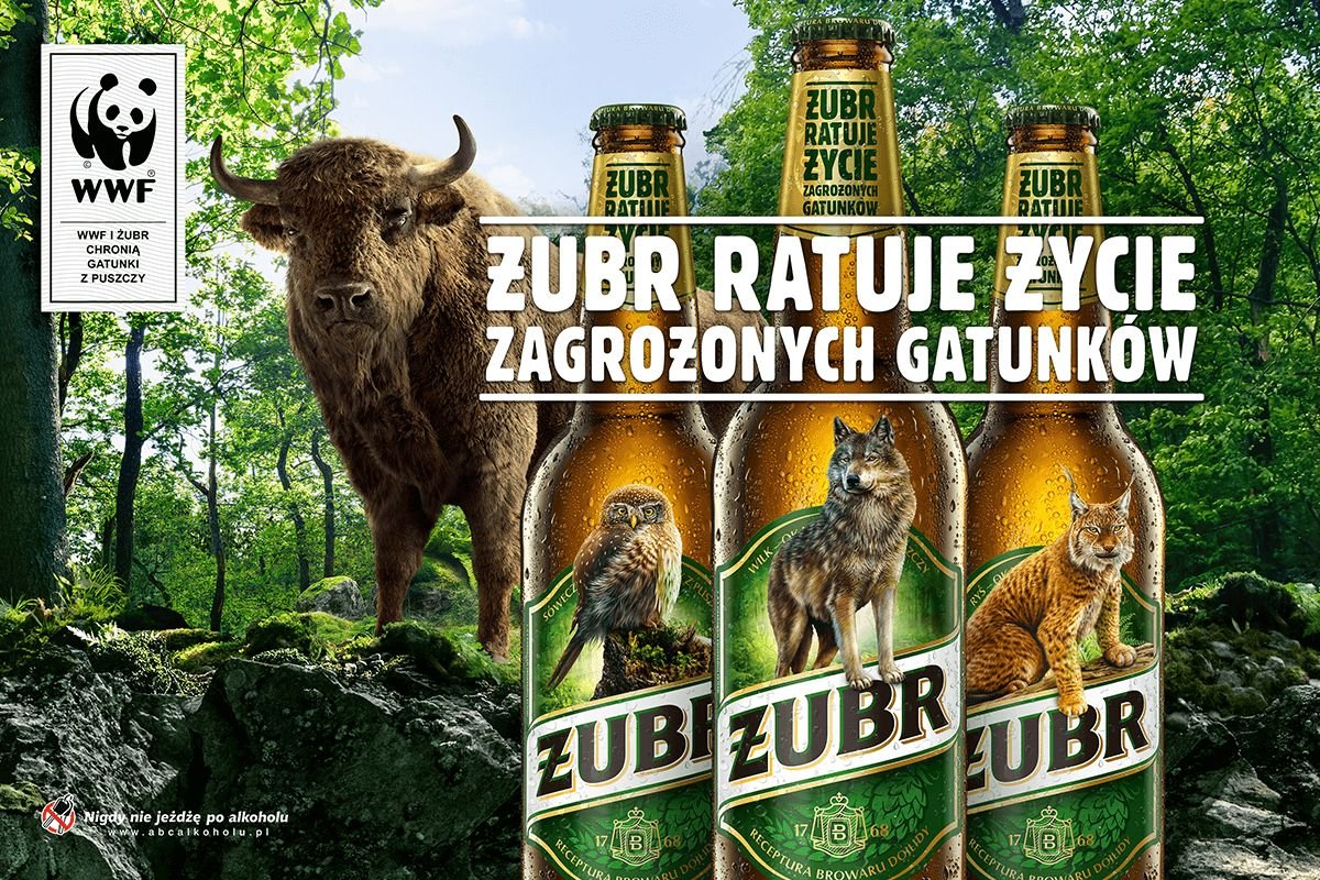 Zamiast żubra na Żubrze pojawią się zagrożone gatunki zwierząt.