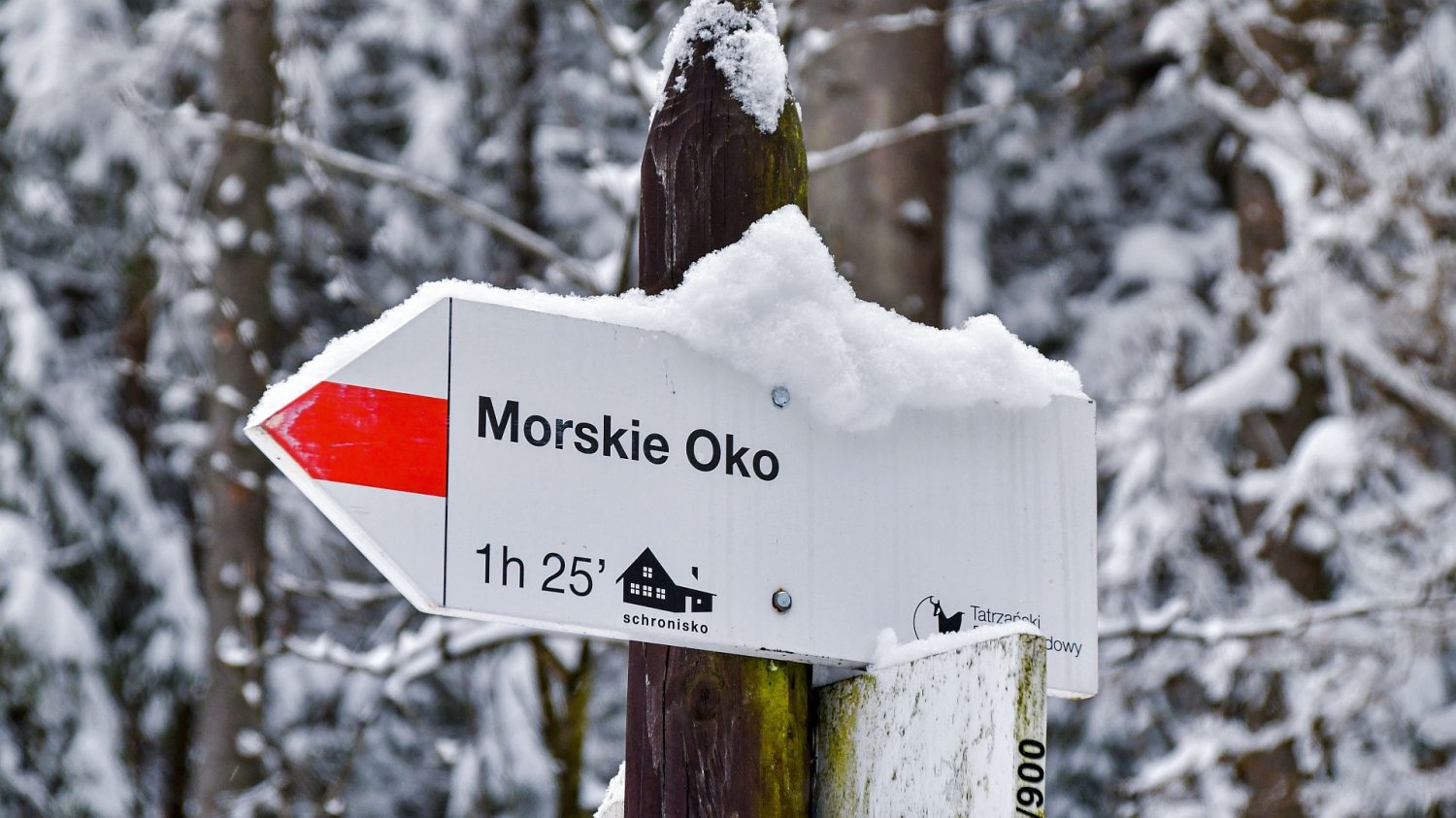 Tatrzański Park Narodowy, znak drogowy na Morskie Oko
