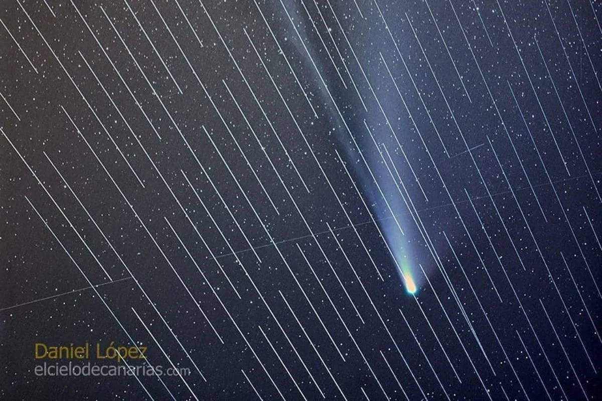 Efektowna kometa Neowise została zasłonięta przez satelity Starlink, wysłane na orbitę przez firmę SpaceX Elona Muska.