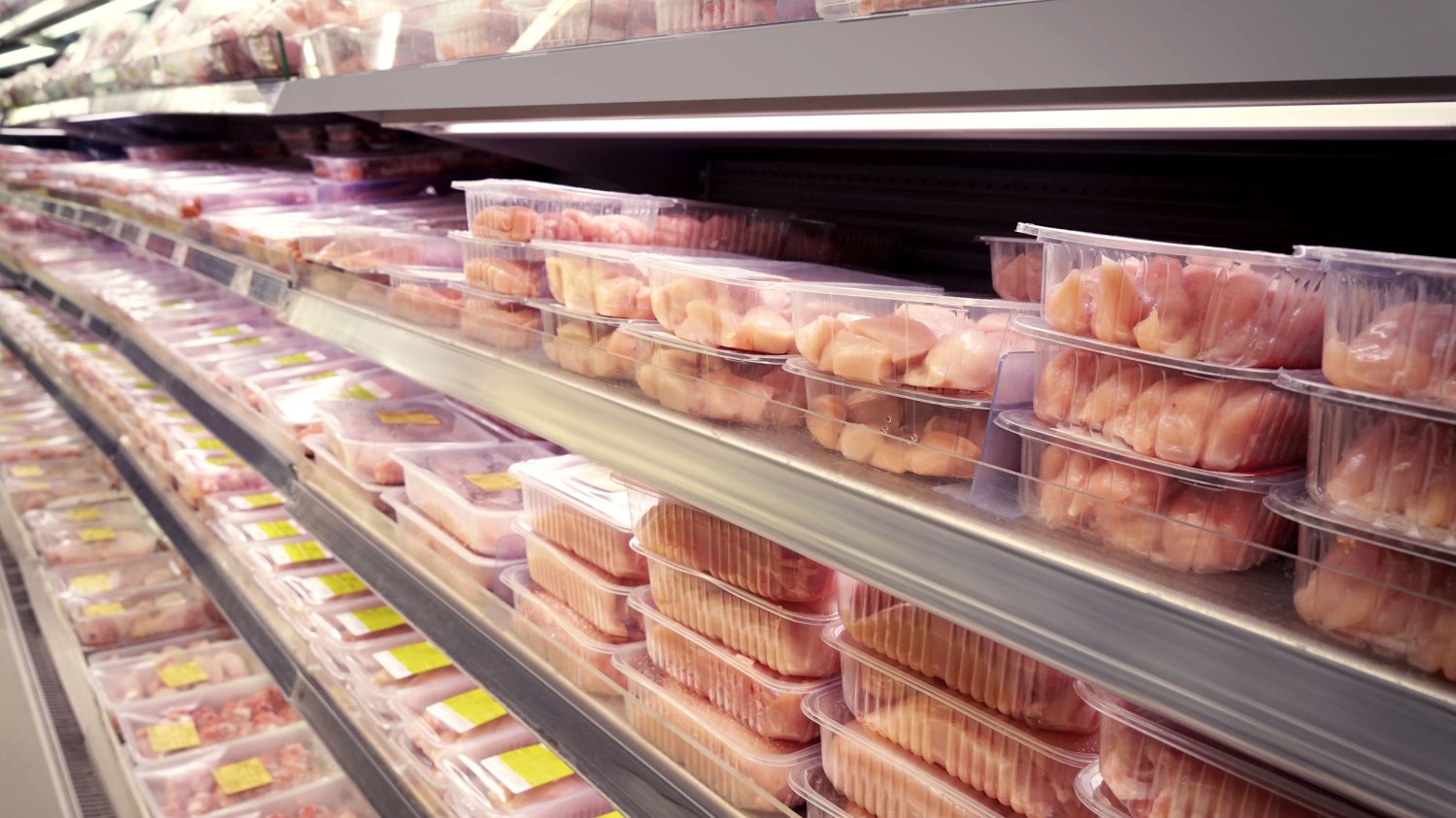 Polskie zwierzęta dostają mnóstwo antybiotyków. Zaś sprzedaż produktów przeciwbakteryjnych dla zwierząt gospodarczych w naszym kraju z roku na rok rośnie.