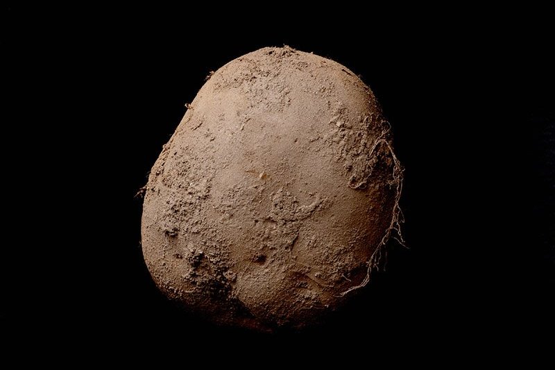 Za to zdjęcie ziemniaka irlandzki fotograf Kevin Abosch otrzymał zapłatę w wysokości 1 mln euro