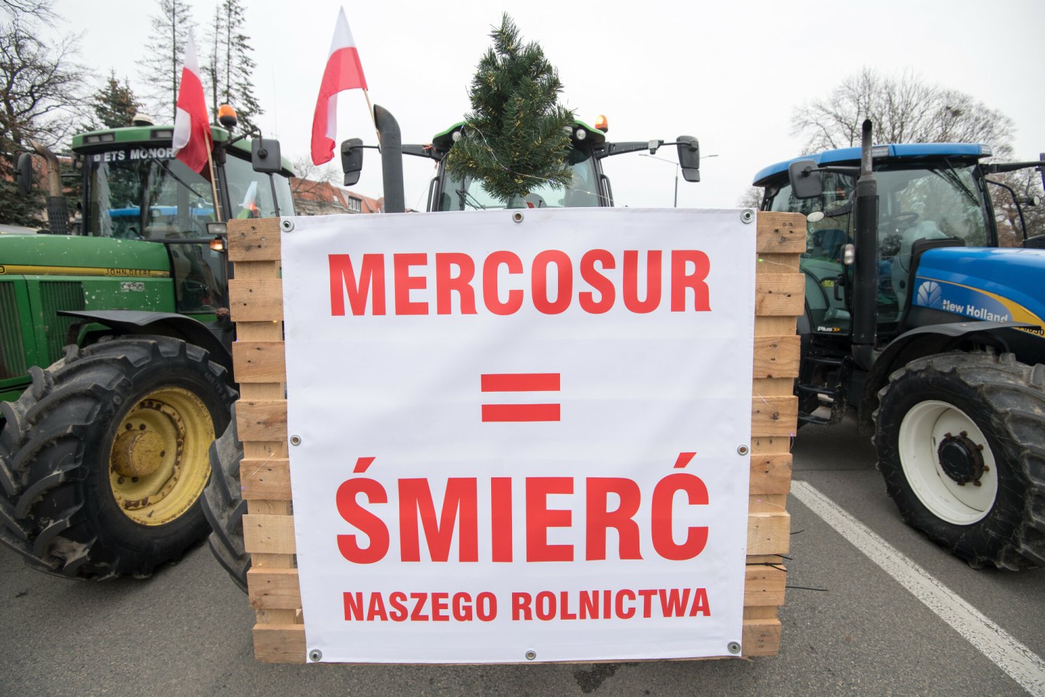 Na czym polega problem z umową między UE a Mercosur? Rolnicy i Otwarte Klatki mają wspólne stanowisko.