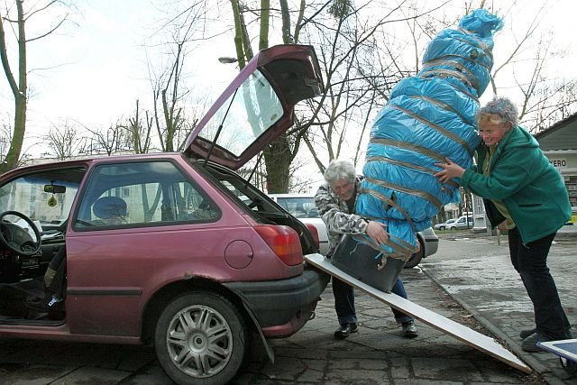 Jak przewieźć choinkę i nie dostać mandatu?