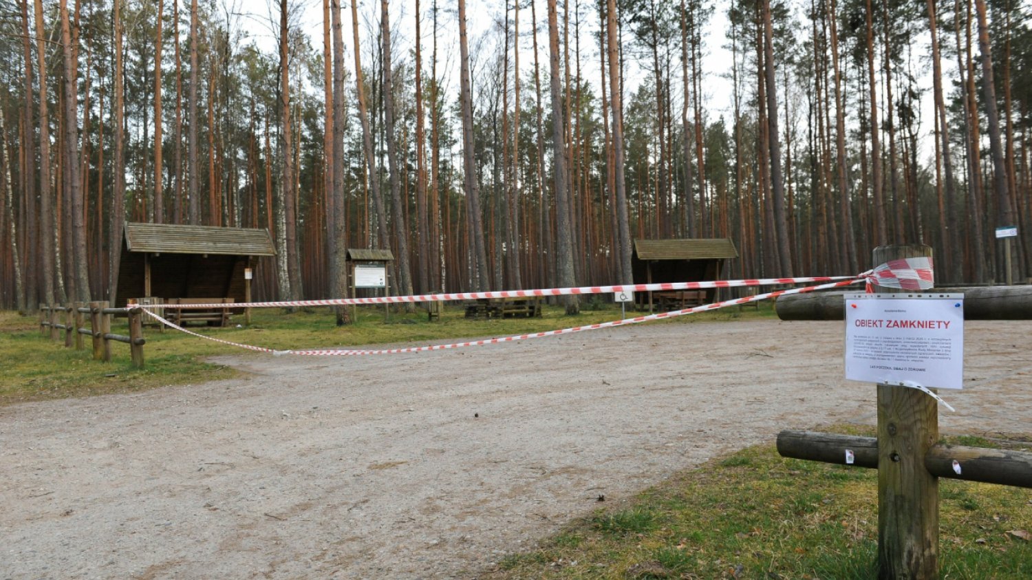 polski las zamknięty dla odwiedzających podczas pandemii koronawirusa Covid-19