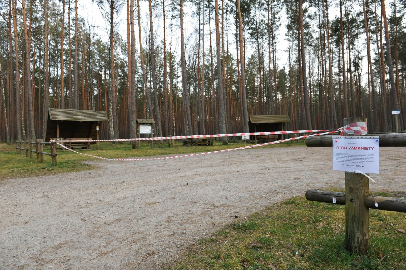 polski las zamknięty dla odwiedzających podczas pandemii koronawirusa Covid-19