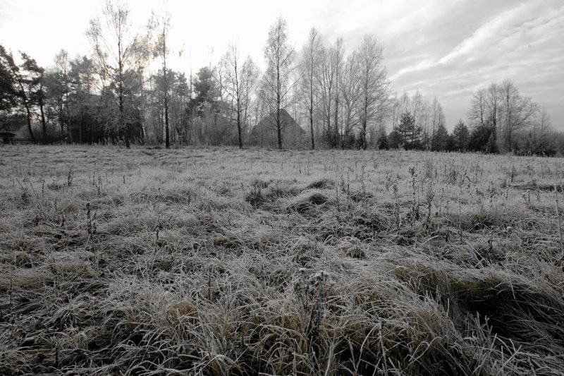 Wsparcie z UE nie pomogło przyciągnąć inwestorów na wschód Polski. W tej kwestii od lat zmienia się niewiele