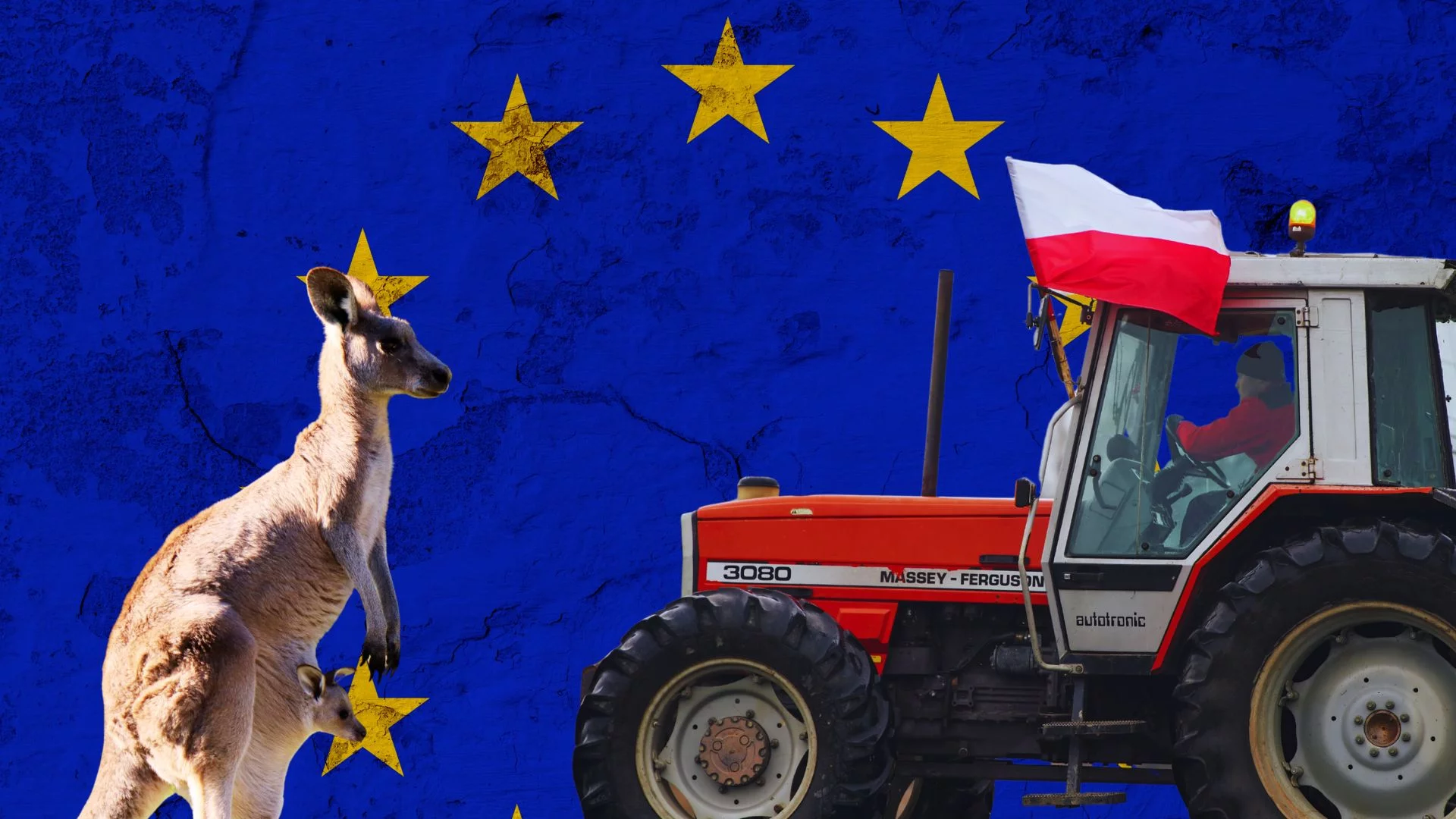 Kangur i ciągnik z polskimi flagami na tle flagi UE. Były rozmowy z Mercosur, teraz czas na Australię. Czy Rolnicy będą mieli nowy powód do niepokoju
