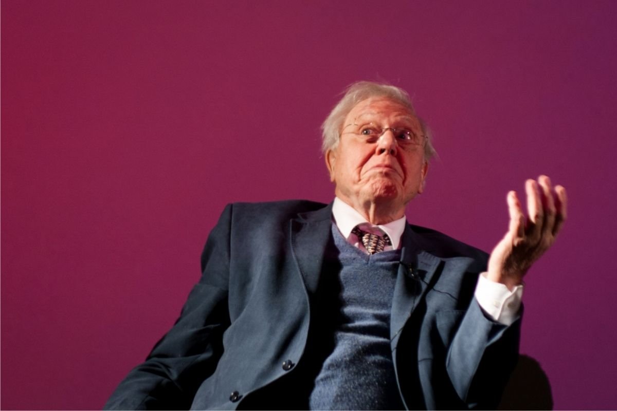 Sir David Attenborough w ciągu dnia od założenia konta na Instagramie zyskał prawie 3 mln obserwujących.