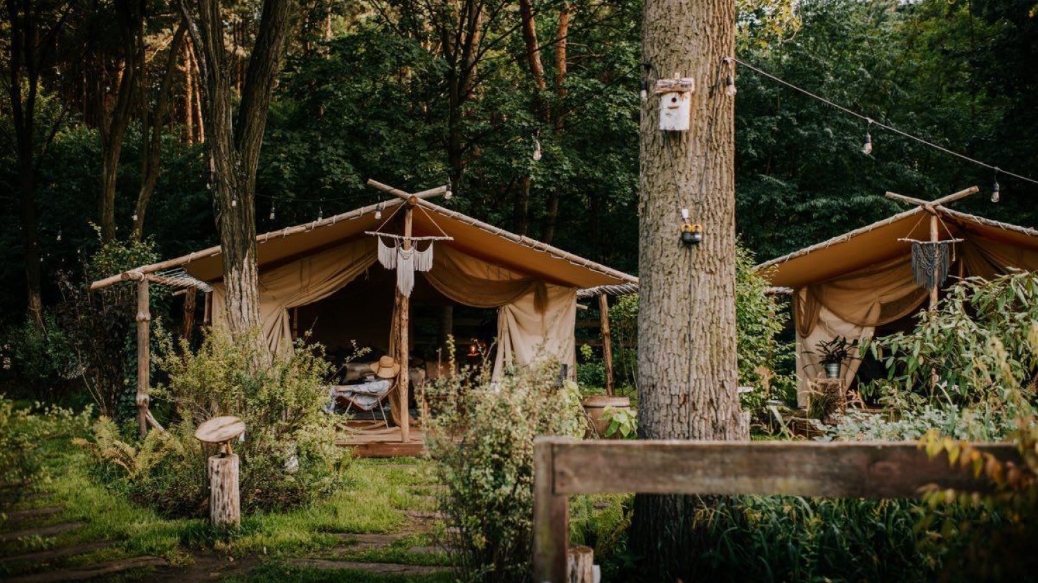 W pełni wyposażone namioty lub jurty w samym środku natury - tak wygląda glamping.