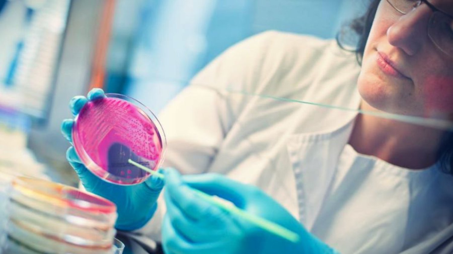 Dzięki Bioavlee zwierzęta nie będą tak często karmione antybiotykami.